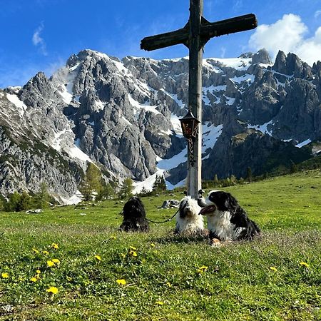 Apart Ursus Hinterthal Maria Alm am Steinernen Meer Luaran gambar