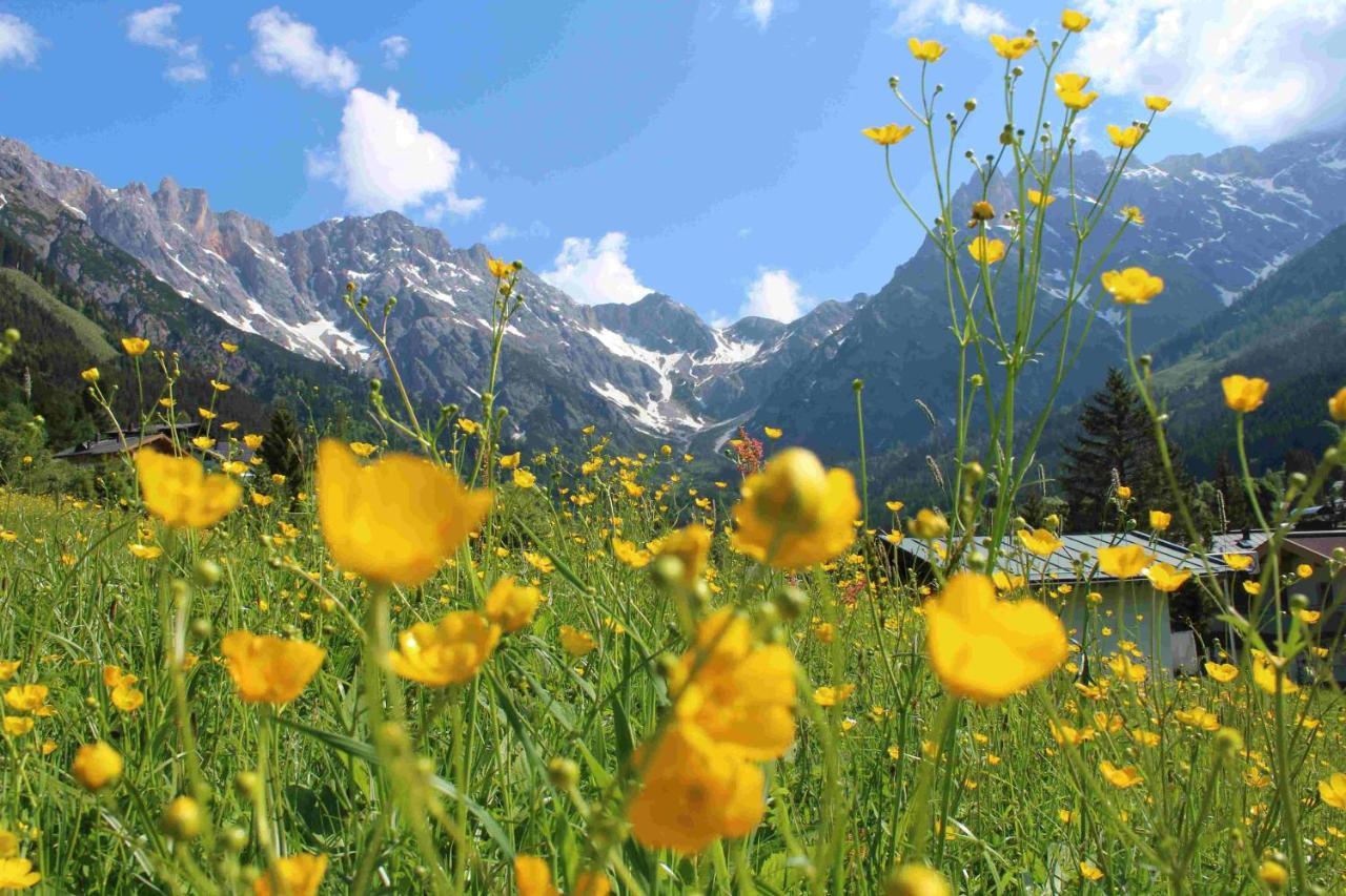 Apart Ursus Hinterthal Maria Alm am Steinernen Meer Luaran gambar