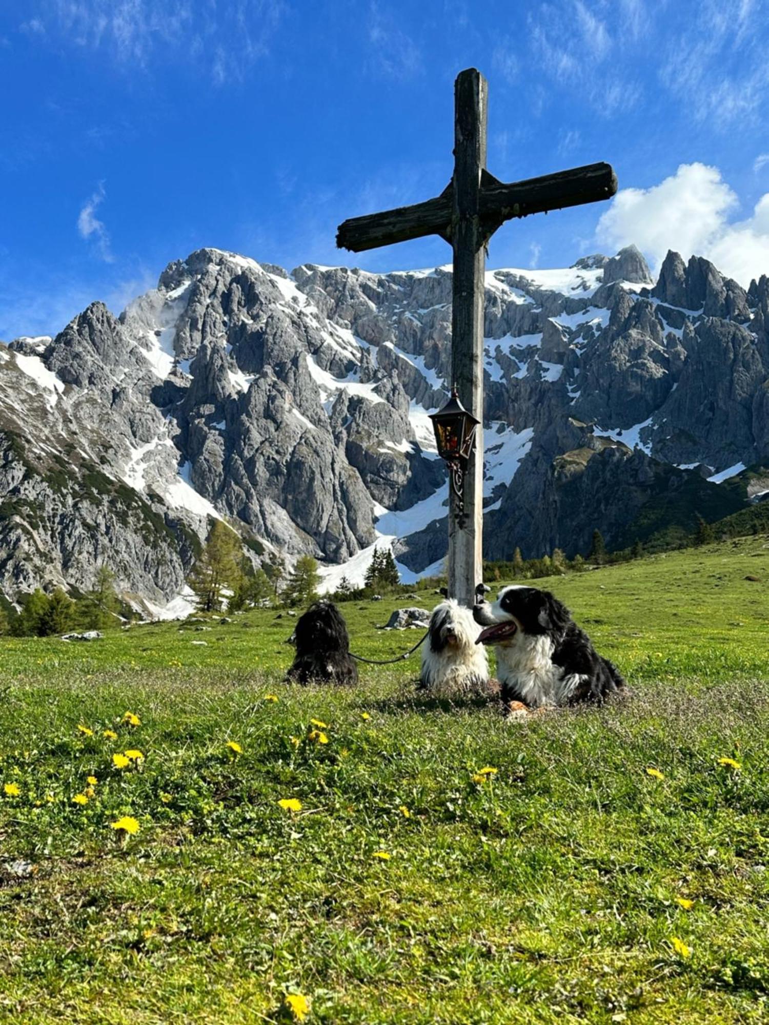 Apart Ursus Hinterthal Maria Alm am Steinernen Meer Luaran gambar