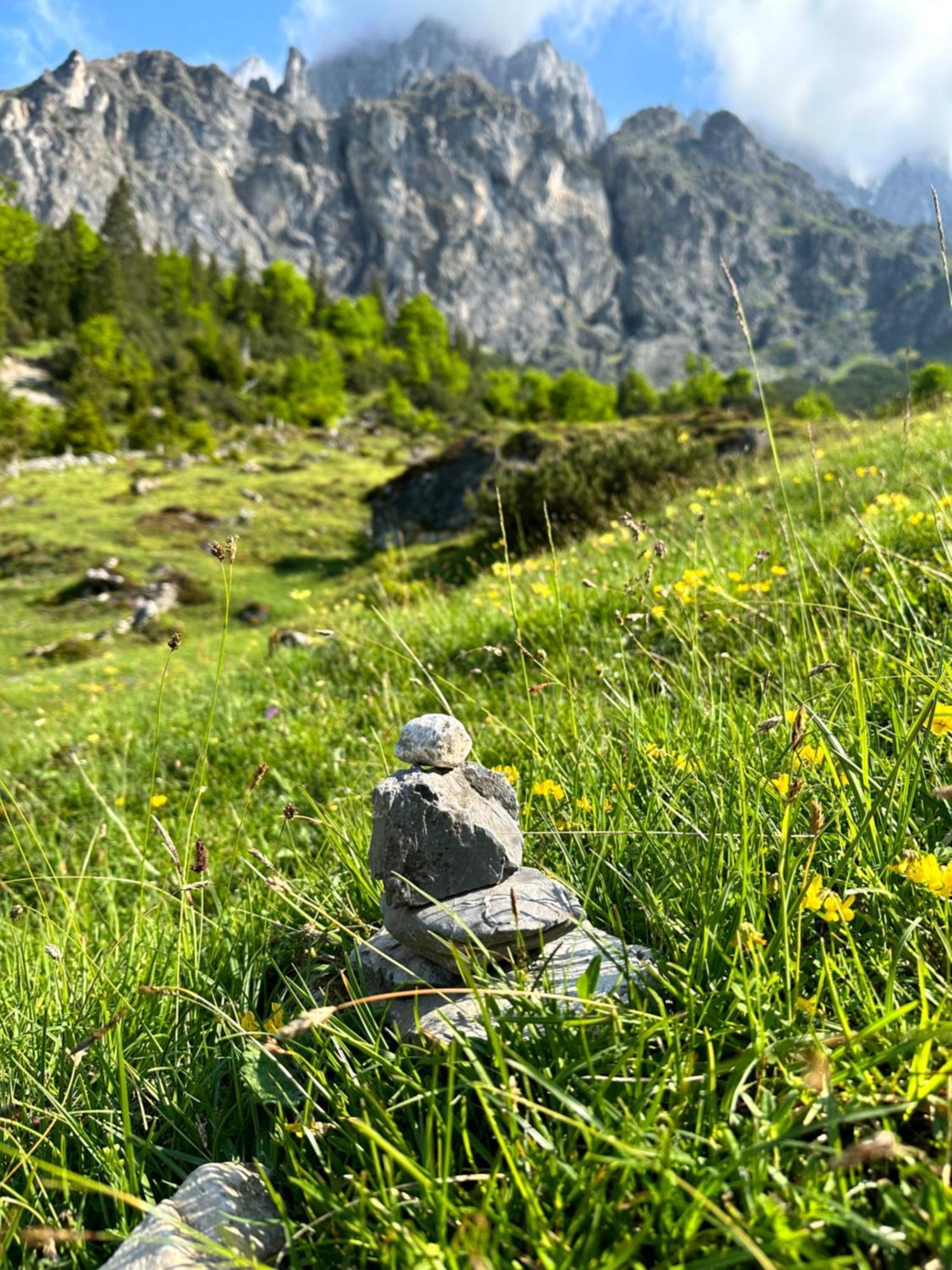 Apart Ursus Hinterthal Maria Alm am Steinernen Meer Luaran gambar