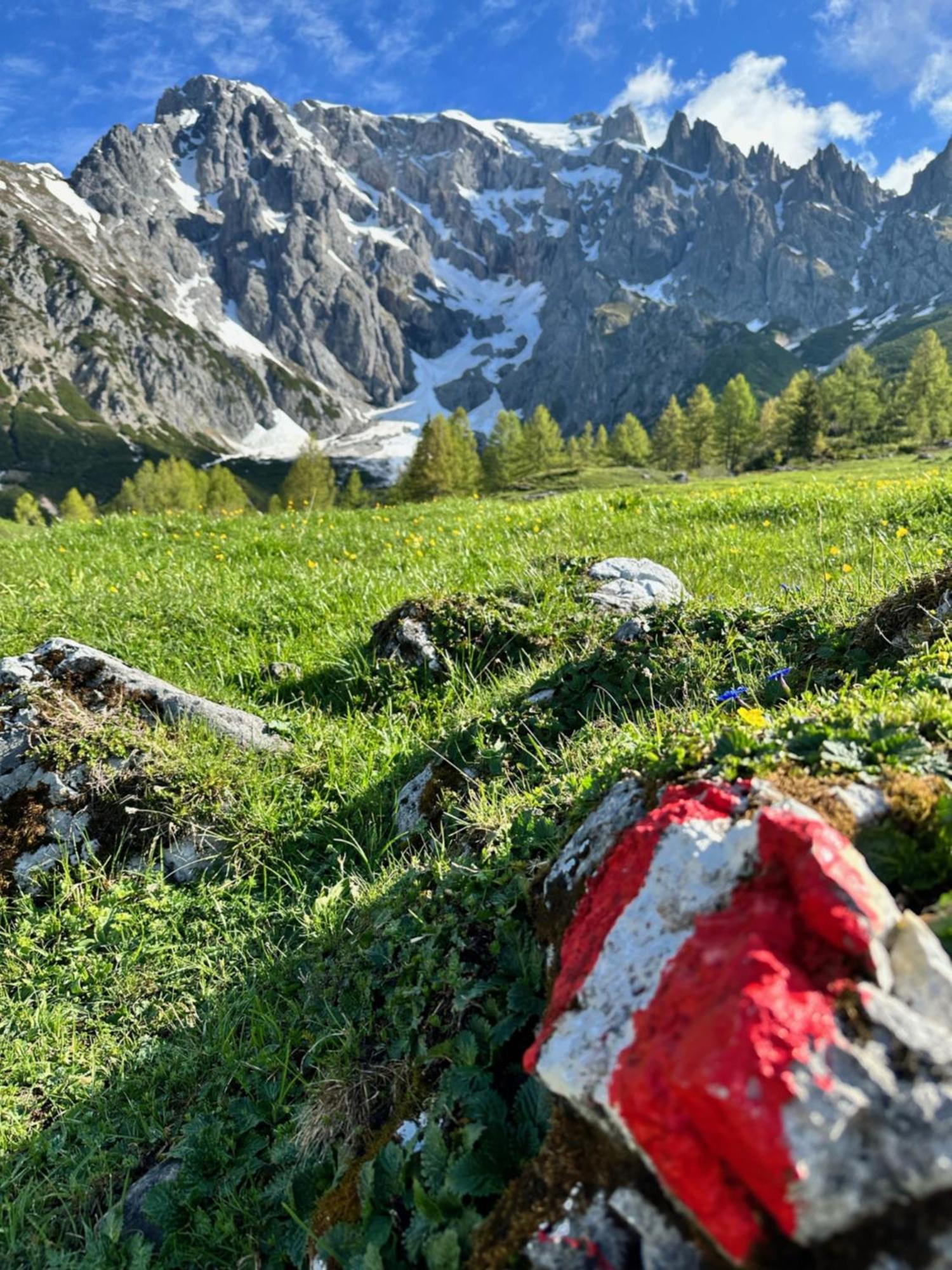 Apart Ursus Hinterthal Maria Alm am Steinernen Meer Luaran gambar